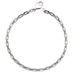 Heart Clasp Link Chain Necklace