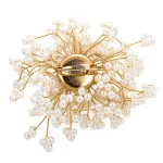 brooch