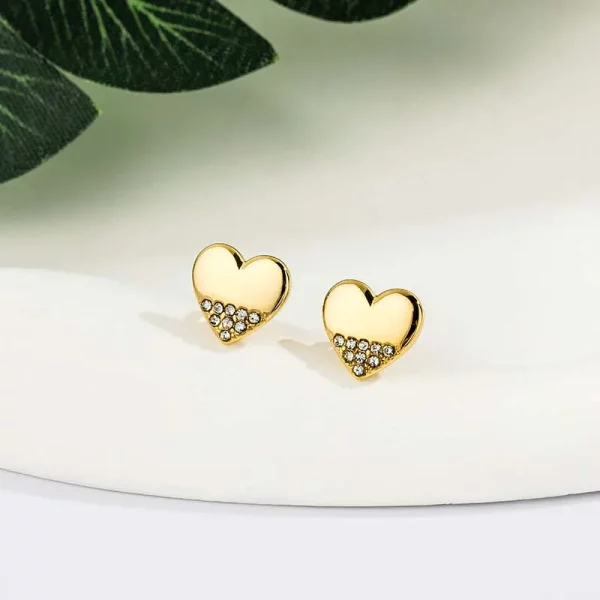 Heart Stainless Steel Earrings