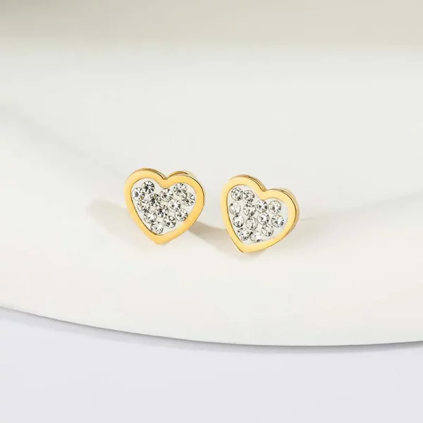 Stainless Steel Studs Earrings