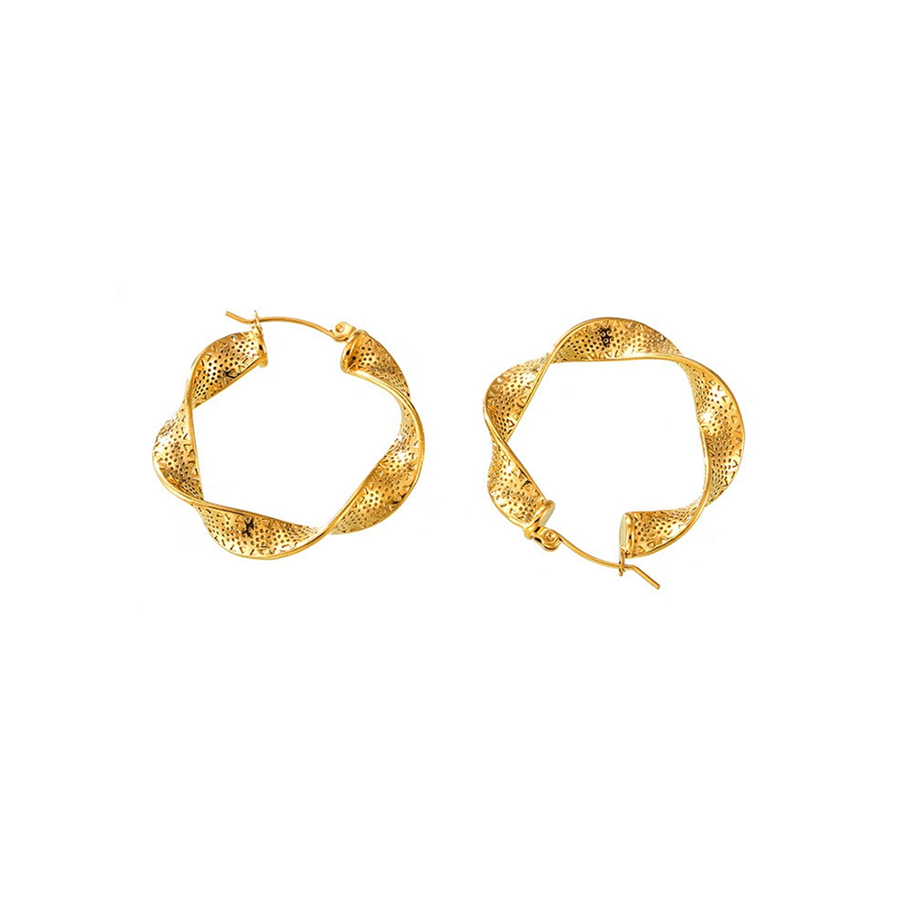 stainless steel earrings17