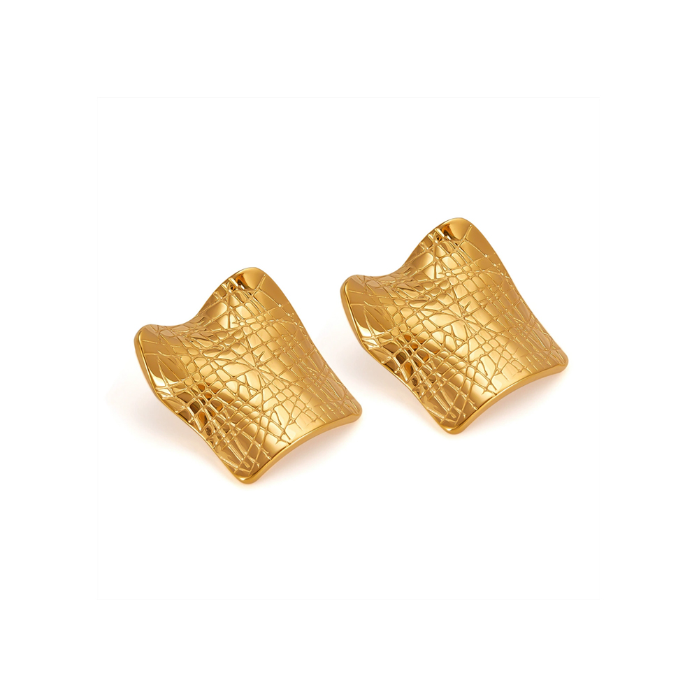 stainless steel earrings19