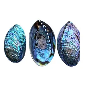 Custom Stainless Steel Ring Gemstone Types-Mother-of-Pearl