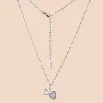 ODM 316L Stainless Steel Double Heart Necklace with Cubic Zircon for Manufacturing