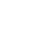 Material Icon