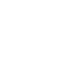 Material Icon