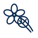 flower connection check